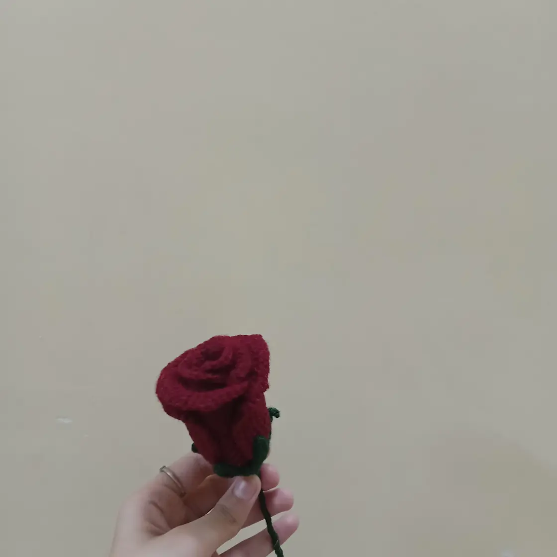 Wine Glass rose
